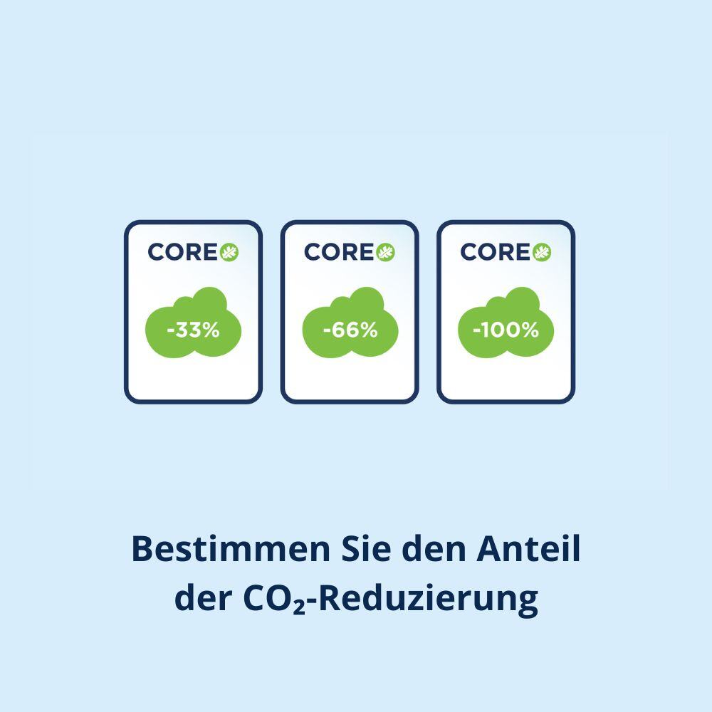 Anteil der CO2-Reduzierung